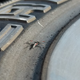 Illustration for article titled How To Ruin A Set Of Tires In 1000 Miles Or Less.